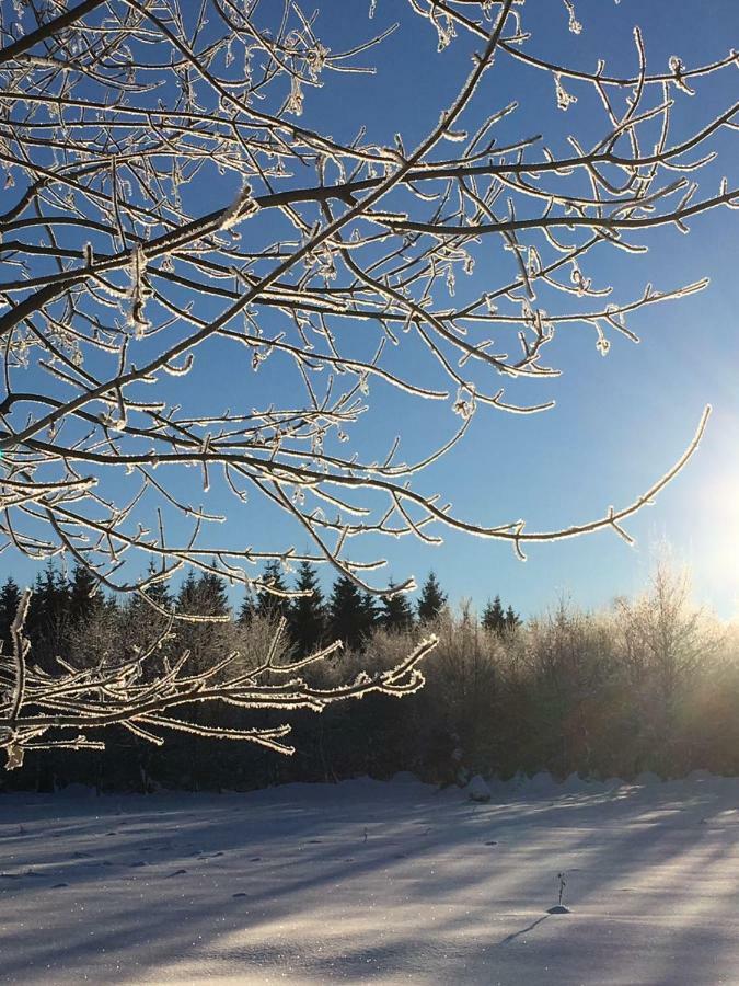 Ferienwohnung Arnika Inklusive Waeschepaket Braunlage Eksteriør bilde