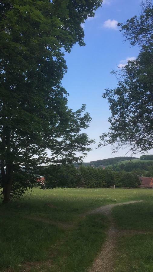 Ferienwohnung Arnika Inklusive Waeschepaket Braunlage Eksteriør bilde