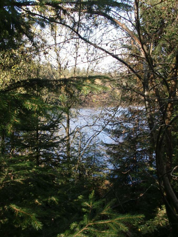Ferienwohnung Arnika Inklusive Waeschepaket Braunlage Eksteriør bilde