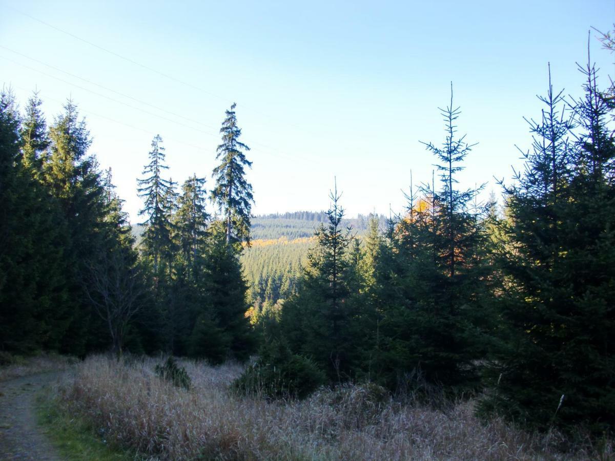 Ferienwohnung Arnika Inklusive Waeschepaket Braunlage Eksteriør bilde