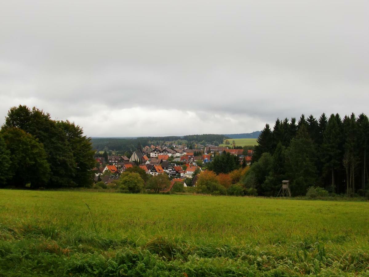 Ferienwohnung Arnika Inklusive Waeschepaket Braunlage Eksteriør bilde