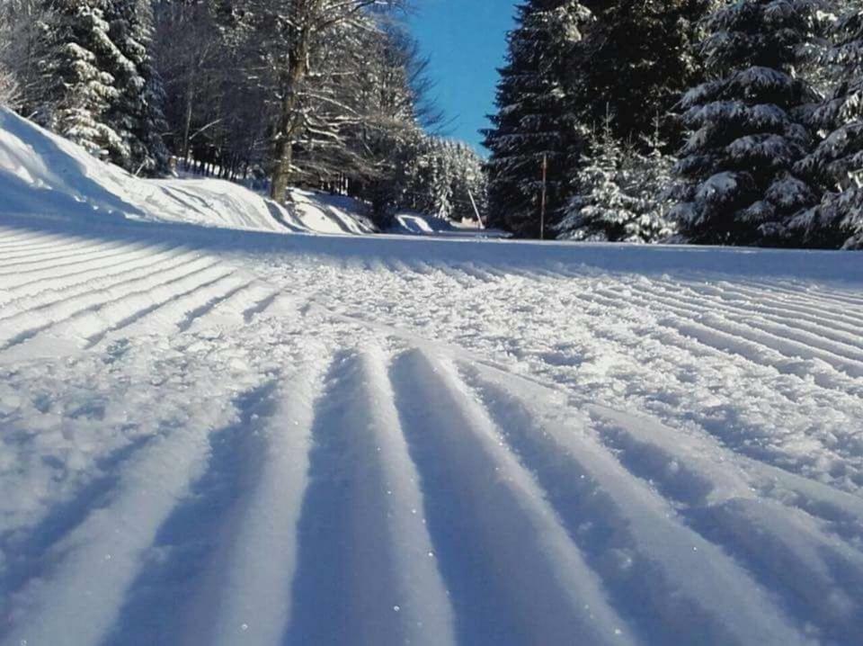 Ferienwohnung Arnika Inklusive Waeschepaket Braunlage Eksteriør bilde