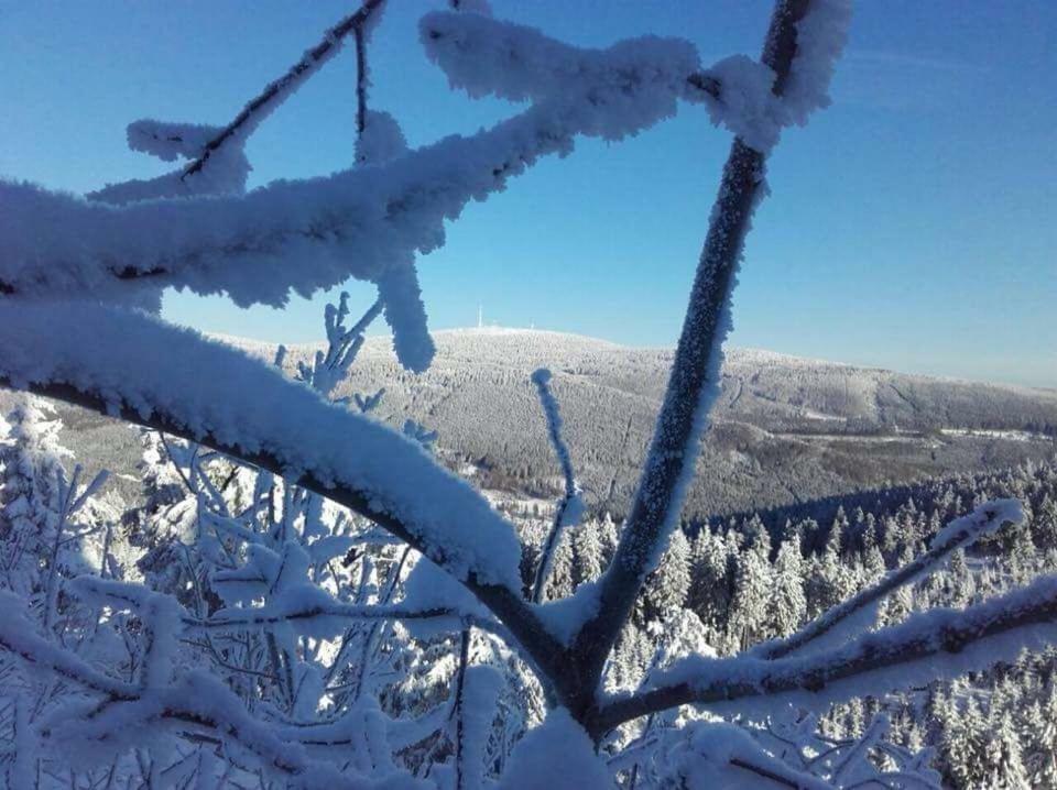 Ferienwohnung Arnika Inklusive Waeschepaket Braunlage Eksteriør bilde